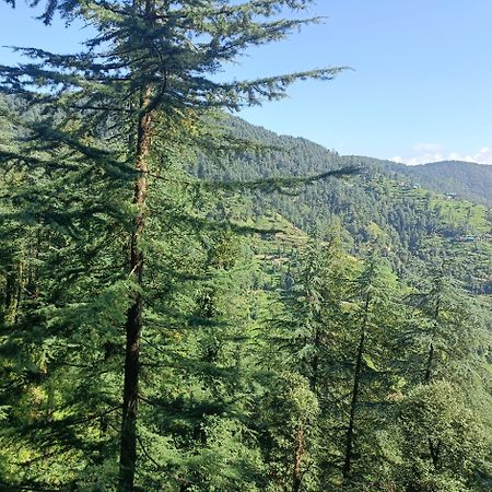 Peace Holiday Homestay Chail Zewnętrze zdjęcie