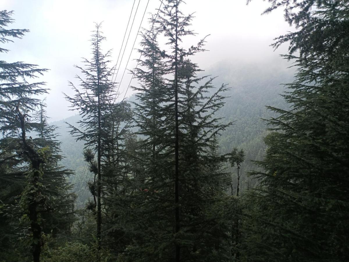 Peace Holiday Homestay Chail Zewnętrze zdjęcie