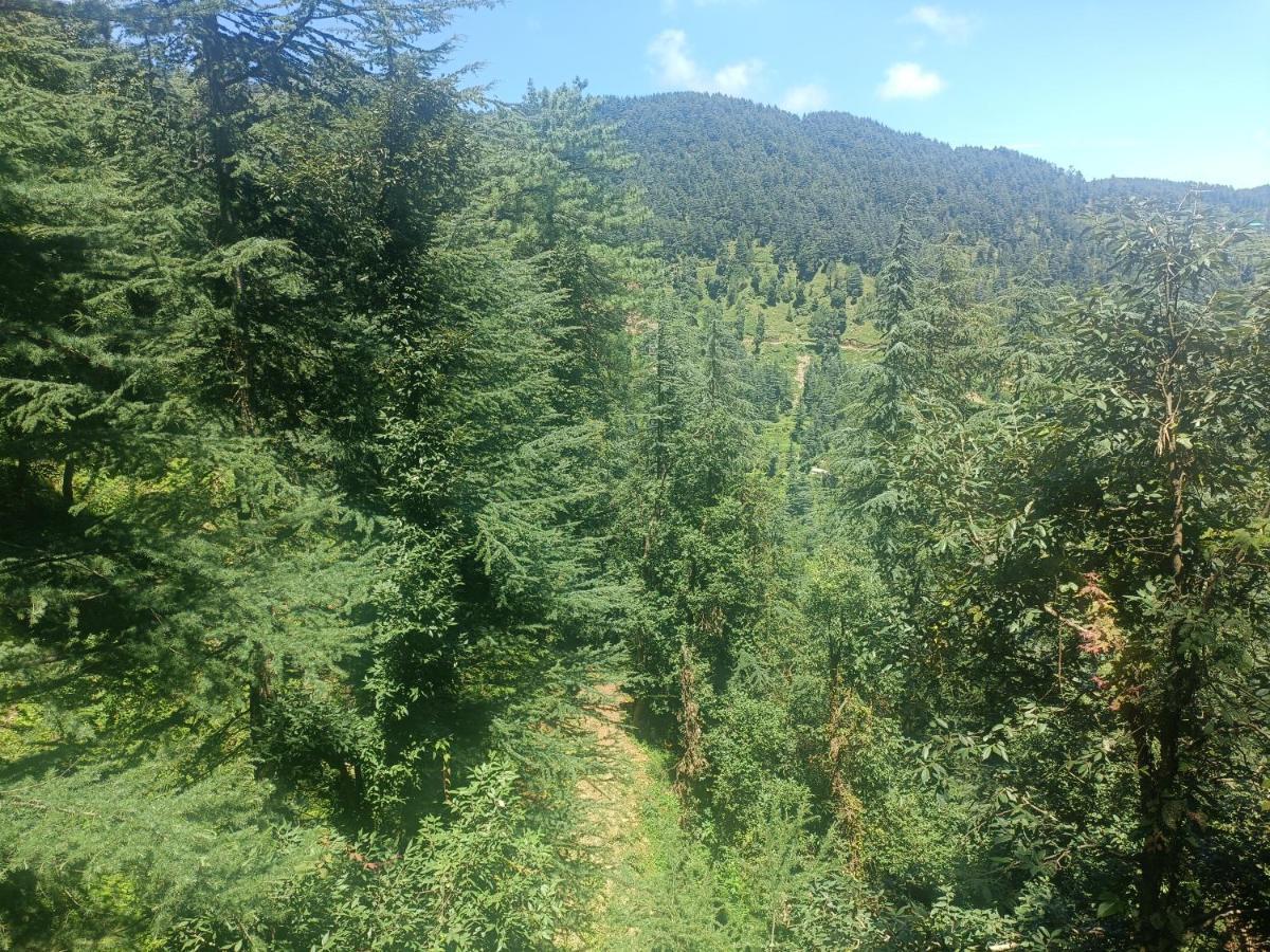 Peace Holiday Homestay Chail Zewnętrze zdjęcie