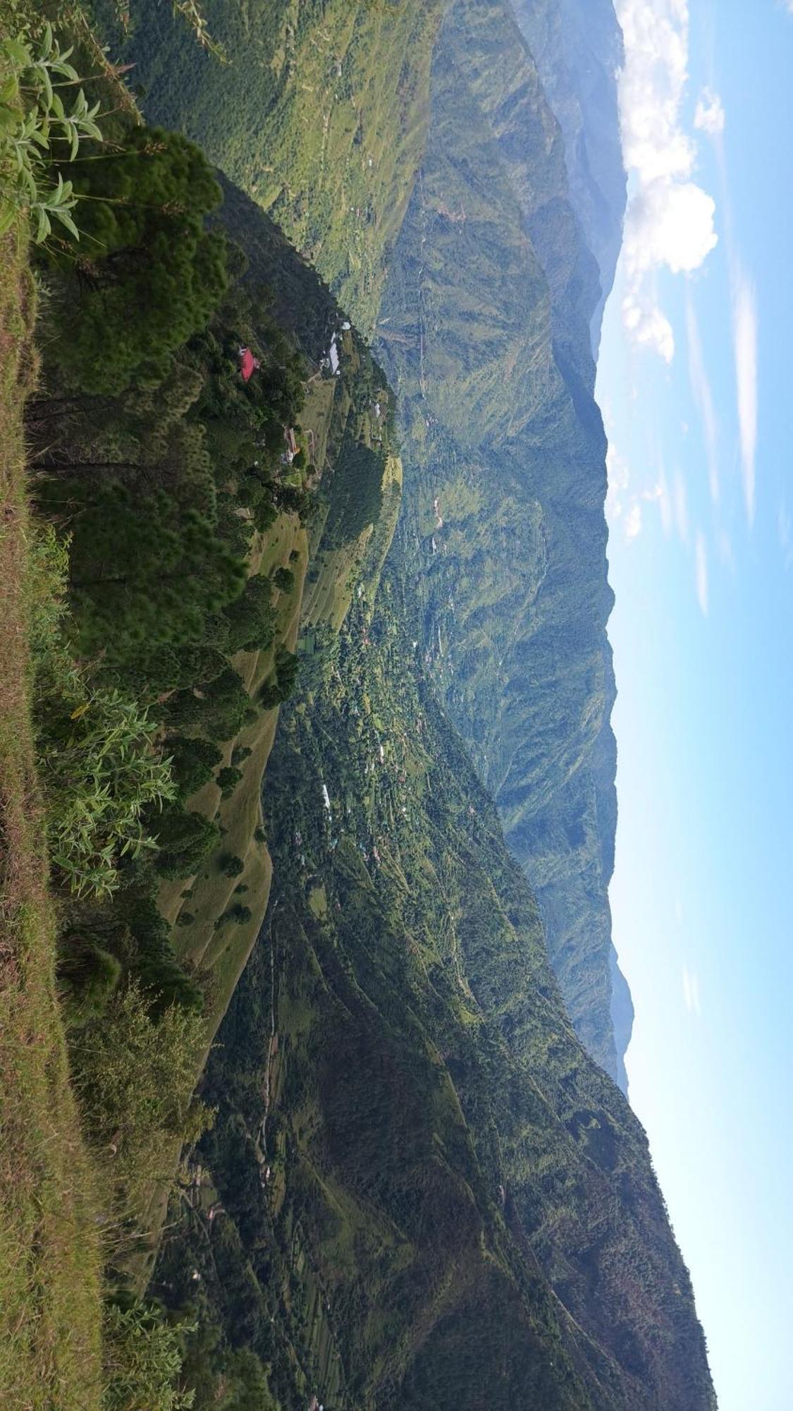 Peace Holiday Homestay Chail Zewnętrze zdjęcie